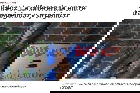 L’importanza degli alimenti organici article-post