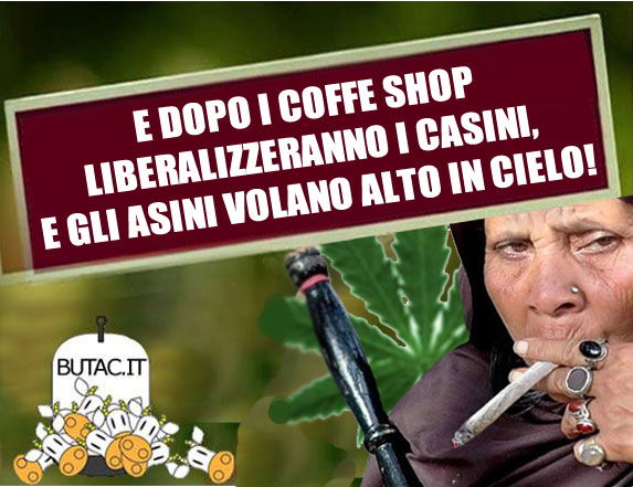 I coffee shop di Amsterdam a Roma article-post