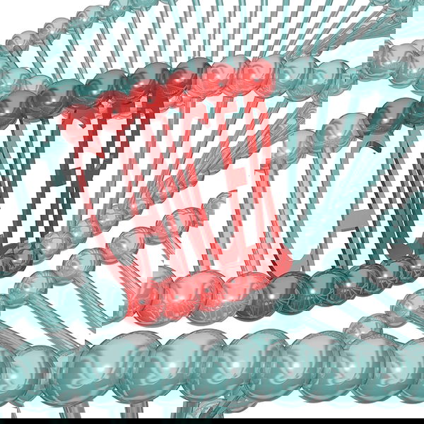 I 10 miti persistenti sul cancro – debunked