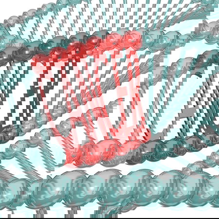 I 10 miti persistenti sul cancro – debunked article-post