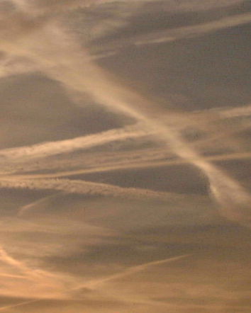 Sofia Smallstorm e i complotti