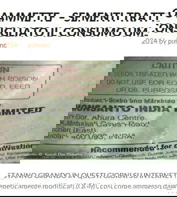 Le sementi OGM assassine