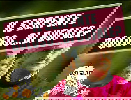 Il serpente goloso di mucche article-post