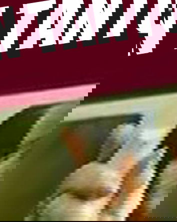 La Top Ten delle bufale Vol.4