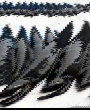 Pesci misteriosi, paranoia da Fukushima