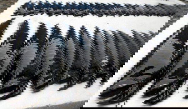 Pesci misteriosi, paranoia da Fukushima