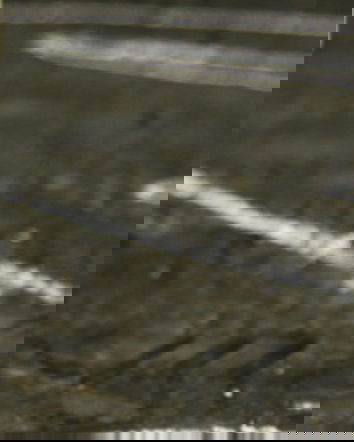 La disinformazione uccide