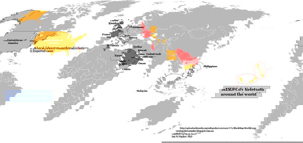 Moriremo tutti, la MERS è qui