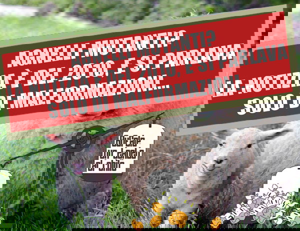 L’agnello dal volto umano…