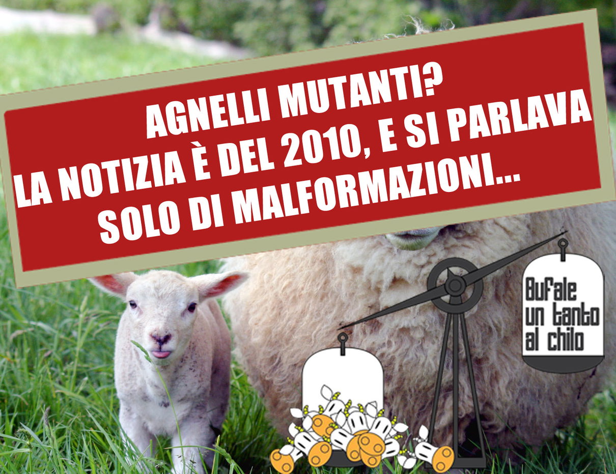 L’agnello dal volto umano… article-post