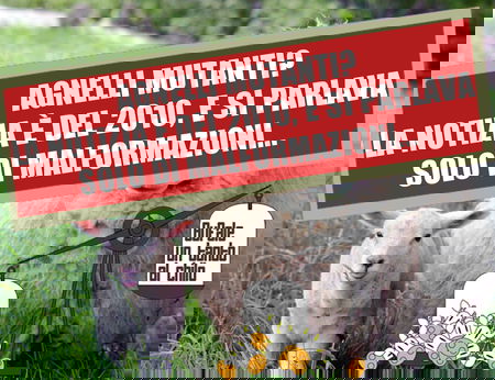 L’agnello dal volto umano… article-post