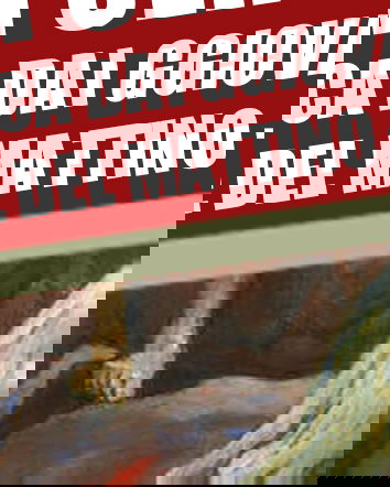 I gemelli dell’apocalisse