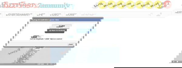 Terribile incidente a Disneyland?