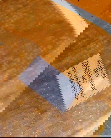 Immigrati buttano cibo nei cassonetti