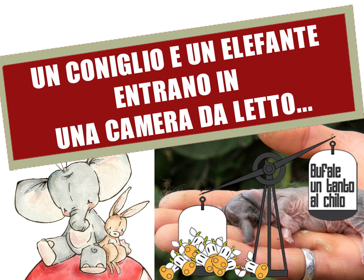 I conigli-elefanti e i traduttori automatici article-post