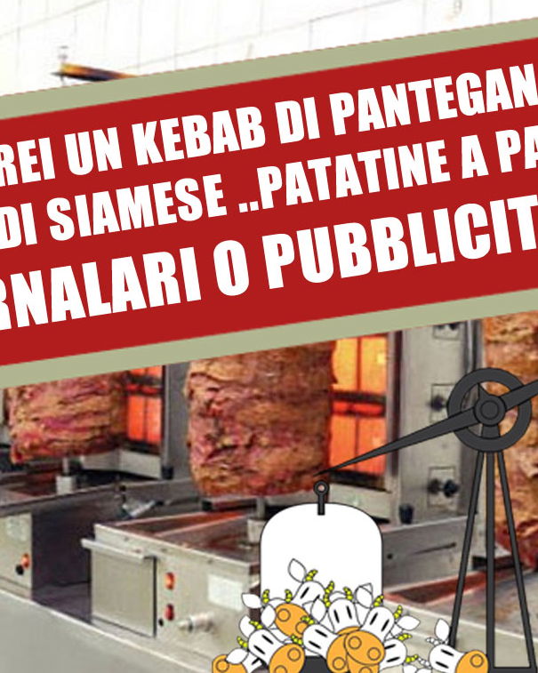 Cosa c’è in un kebab? article-post