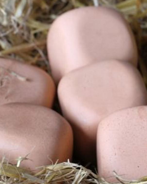 Le uova quadrate… article-post