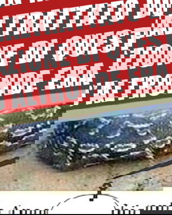 Anaconda inghiotte nigga zookeeper