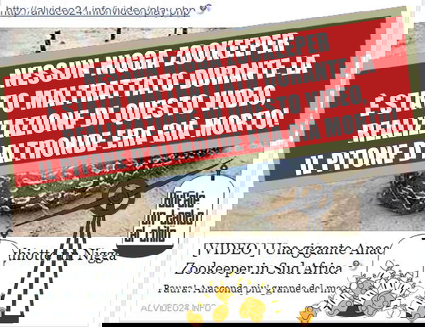 Anaconda inghiotte nigga zookeeper