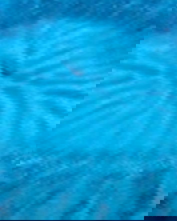 I cerchi nel mare e i buchi nell’acqua della informazione