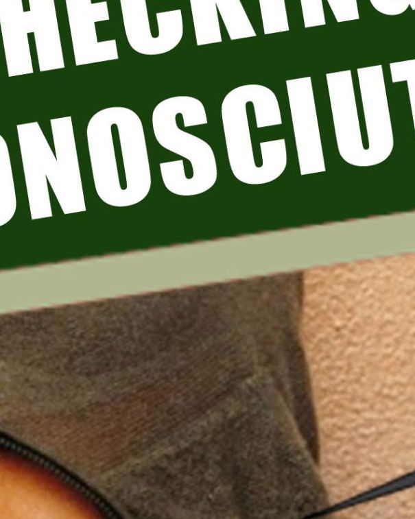 JLo vegana? article-post