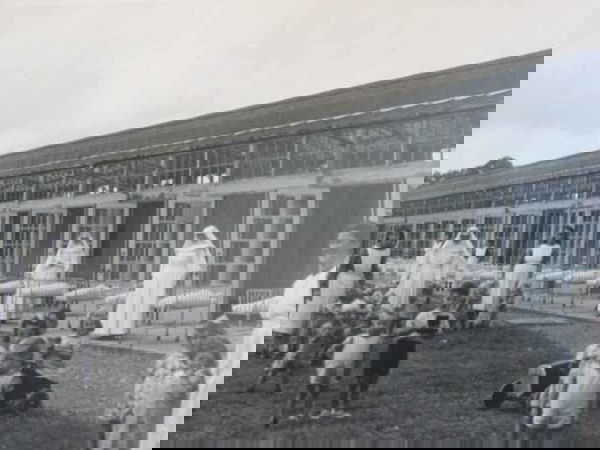 Bambini testati per vaccini in Irlanda