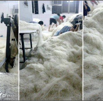 Spaghetti di riso fatti coi piedi