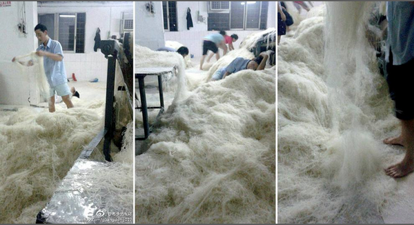 Spaghetti di riso fatti coi piedi