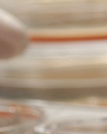 Agitalia e gli embrioni al Pertini!