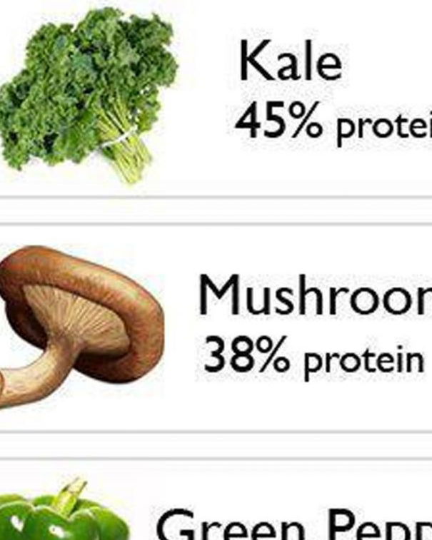 Quando la menzogna si tinge di vegan article-post