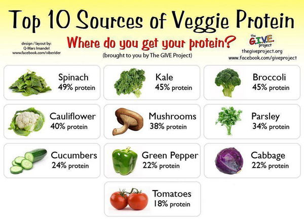 Quando la menzogna si tinge di vegan