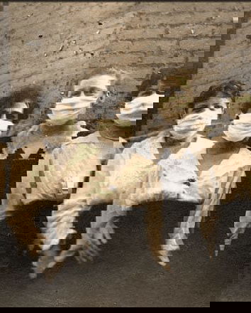 L’uso della mascherina in luogo pubblico è reato