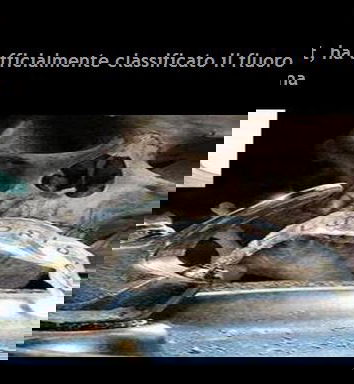 Un antico nemico: il fluoro