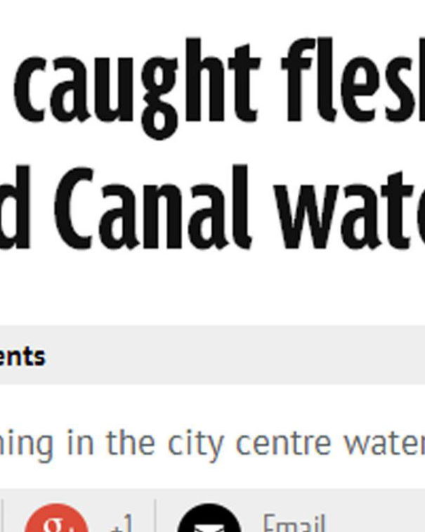 Il Grand Canal e i batteri carnivori article-post