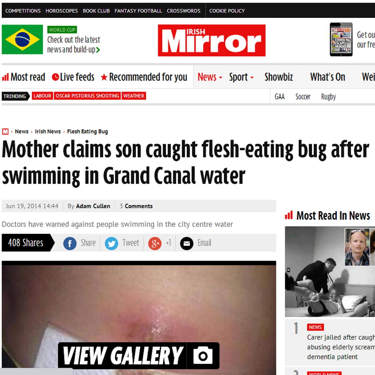 Il Grand Canal e i batteri carnivori article-post