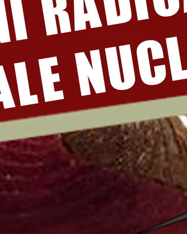 Fukushima e i vegani article-post