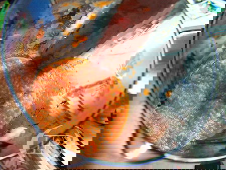 I gatti nel frullatore? article-post