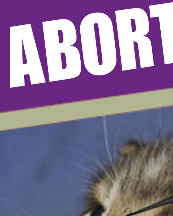 Disinformazione Pro Vita article-post