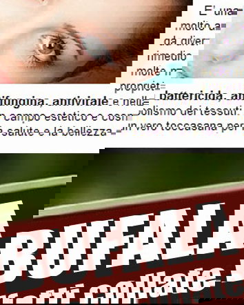 L’argento colloidale