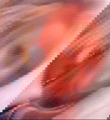 La nonna che fa le selfie da morta