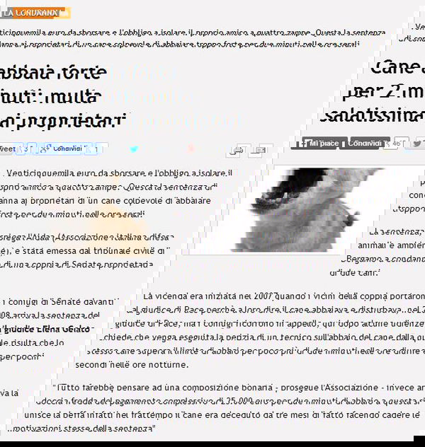 Multa da 25.000 euro per cane molesto?