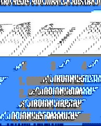 Il vostro piede può dirvi la vostra origine?