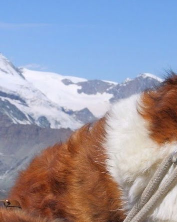 Il rimborso per i volontari del soccorso alpino