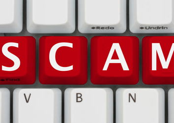 Sciacalli al lavoro!