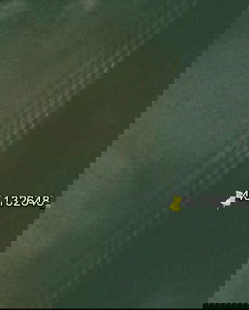 I rottami del volo MH17 su Google Earth?