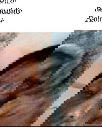 E dopo Ebola: La Lebbra! venghino siori e siore…