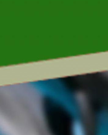 Assenze (in)giustificate