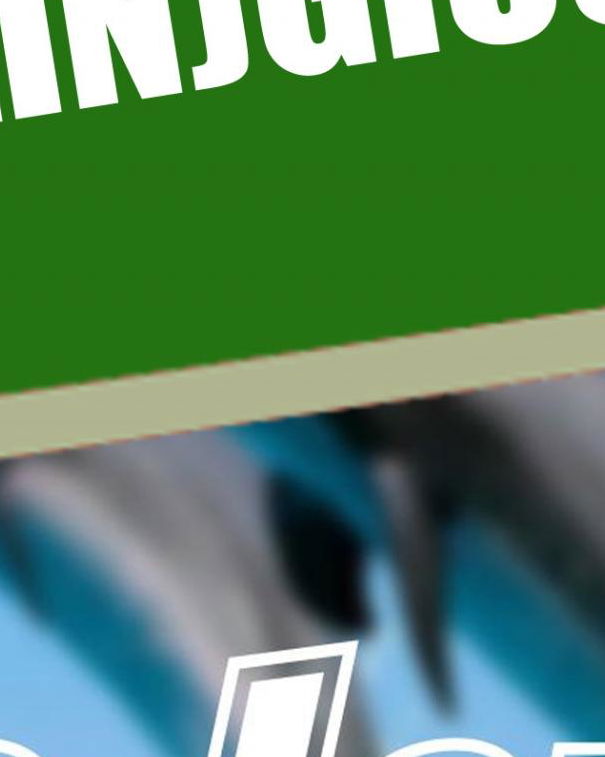 Assenze (in)giustificate article-post