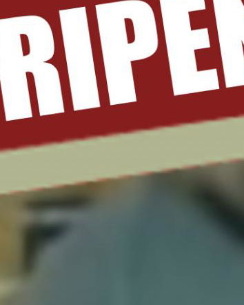 La citazione di Margherita Hack e i vegani