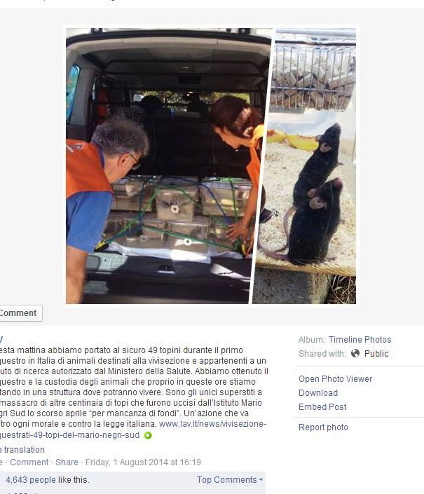 La disinformazione Animalara!!! article-post